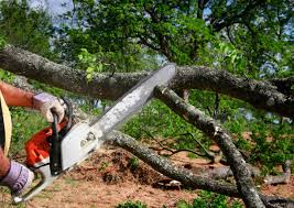 Best Lawn Grading and Leveling  in Mulgee, OK