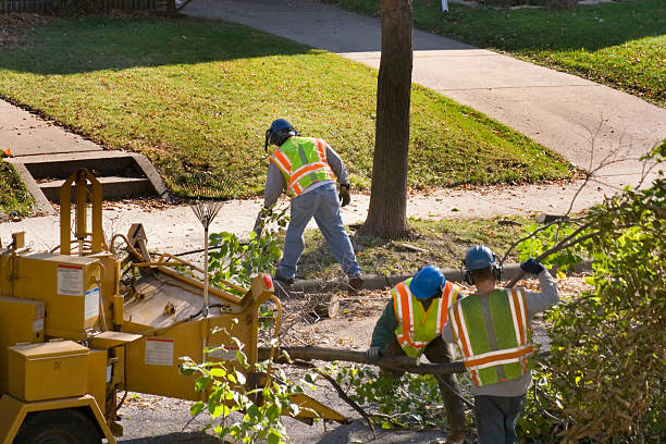 Best Tree and Shrub Care  in Mulgee, OK